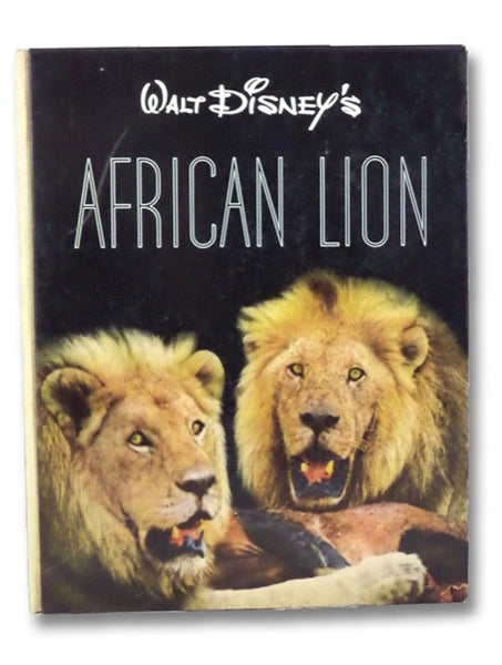 Walt Disney's African Lion