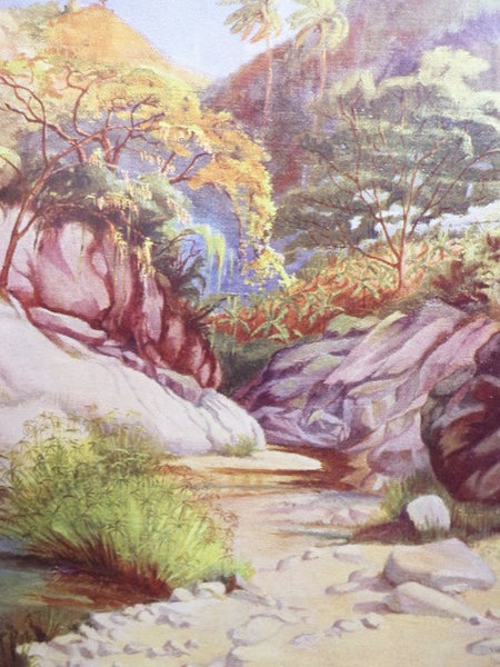 Jamaica Palette