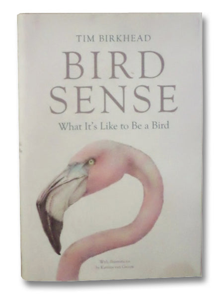 Bird Sense: What It's Like to Be a Bird