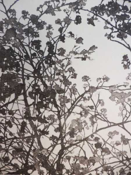 Seven Trees: Limited Fine Press Edition