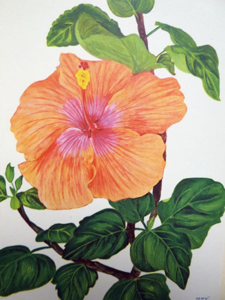 Flowers of Hawaii