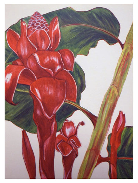 Flowers of Hawaii