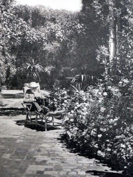 A Garden in Venice