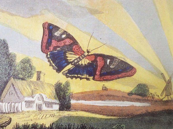 A Treasury of Illustrated Children's Books: Early Nineteenth-Century Classics from the Osborne Collection