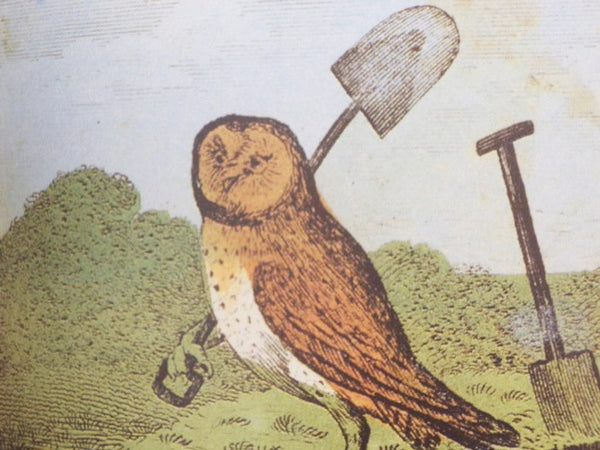 A Treasury of Illustrated Children's Books: Early Nineteenth-Century Classics from the Osborne Collection