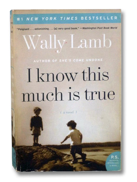 I Know This Much Is True: A Novel (P.S.)
