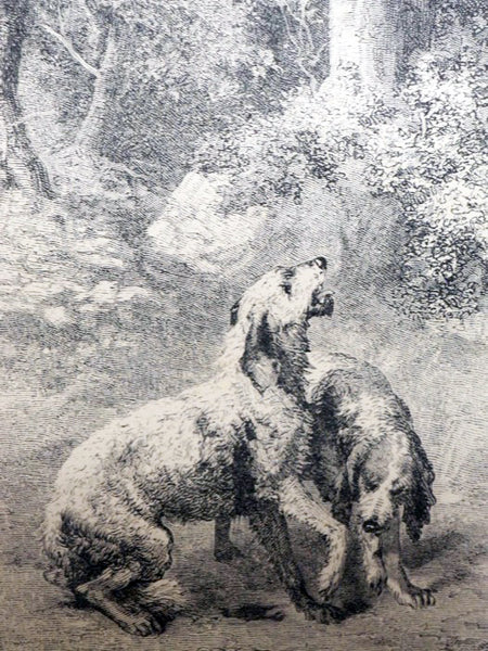 Captain Wolf and Other Sketches of Animal Biography