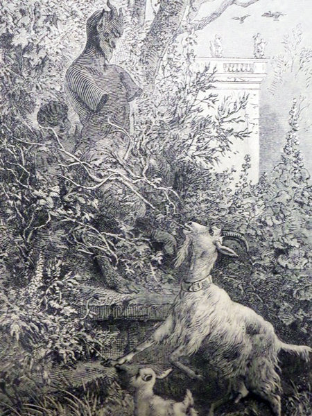 Captain Wolf and Other Sketches of Animal Biography