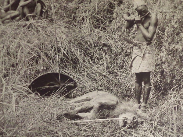 Chronicles of an African Trip