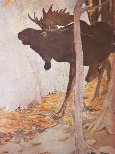The House in the Water: A Book of Animal Stories