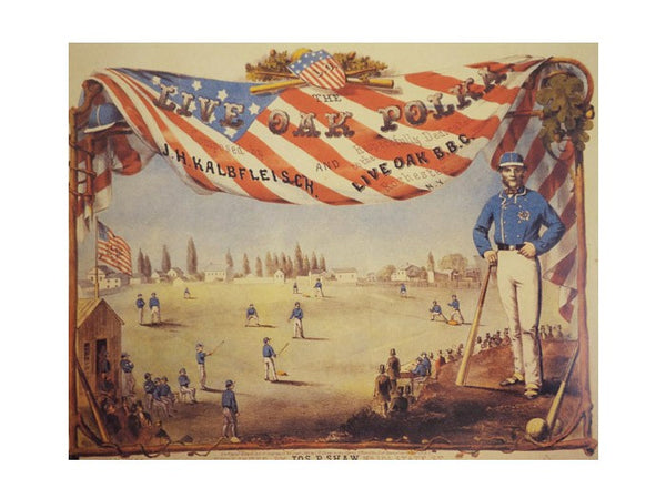 Where They Fell: Stories of Rochester Area Soldiers in the Civil War