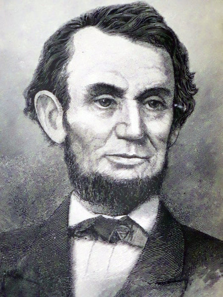Abraham Lincoln & Andrew Johnson (The Lives of the Presidents Series, Two Books in One)