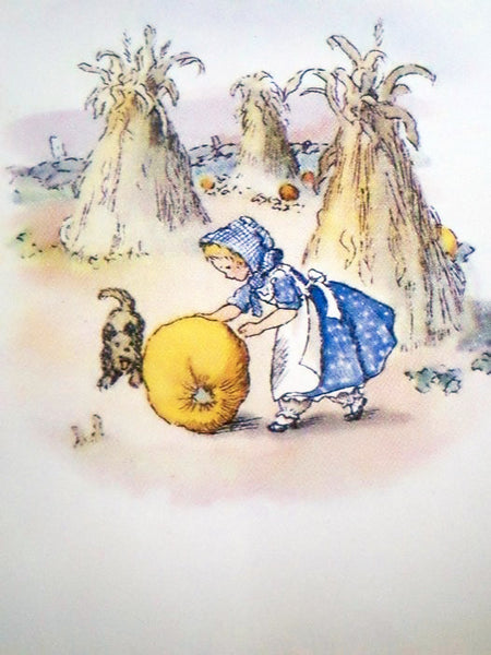 Drawn From New England: Tasha Tudor -- A Portrait in Words and Pictures