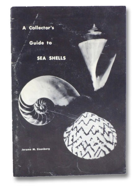 A Collector's Guide to Sea Shells