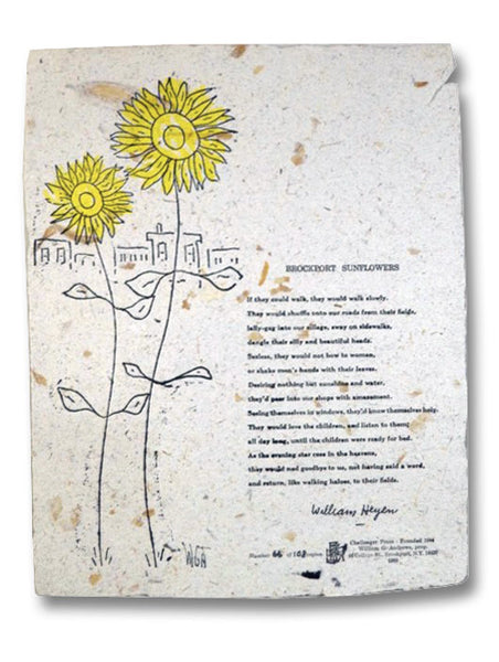Brockport Sunflowers