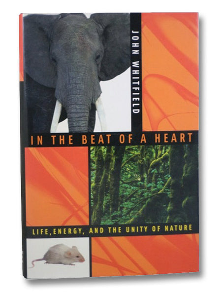 In the Beat of a Heart: Life, Energy, and the Unity of Nature