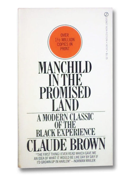 Manchild in the Promised Land: A Modern Classic of the Black Experience