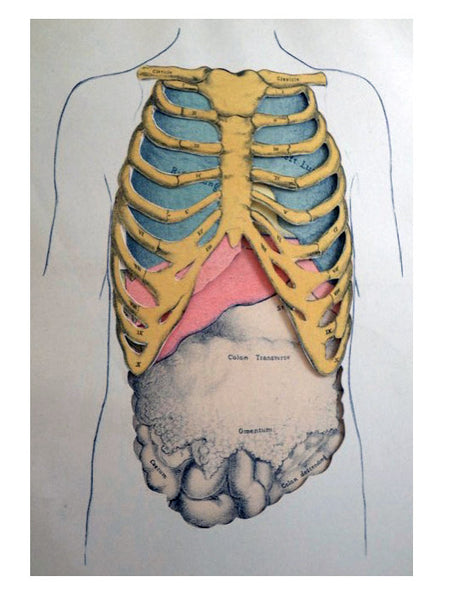 A Manual of Physical Diagnosis