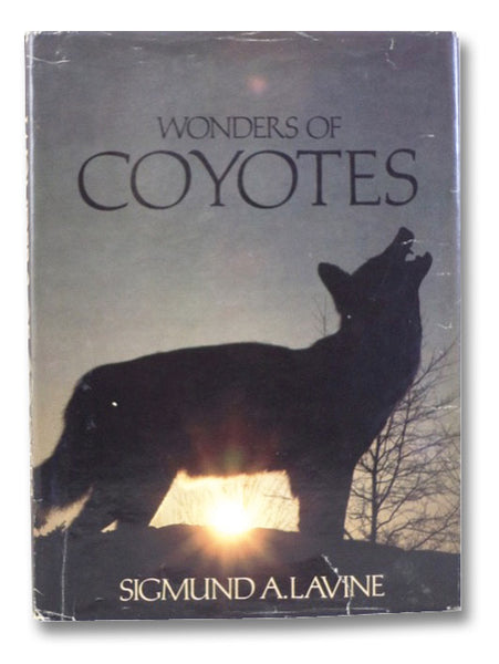Wonders of Coyotes