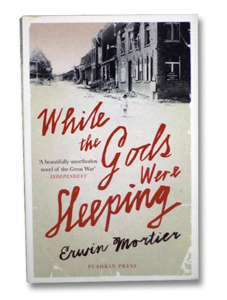 While the Gods were Sleeping