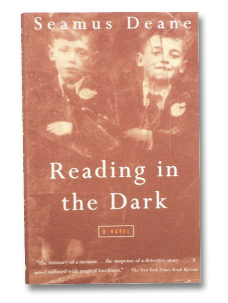 Reading in the Dark: A Novel