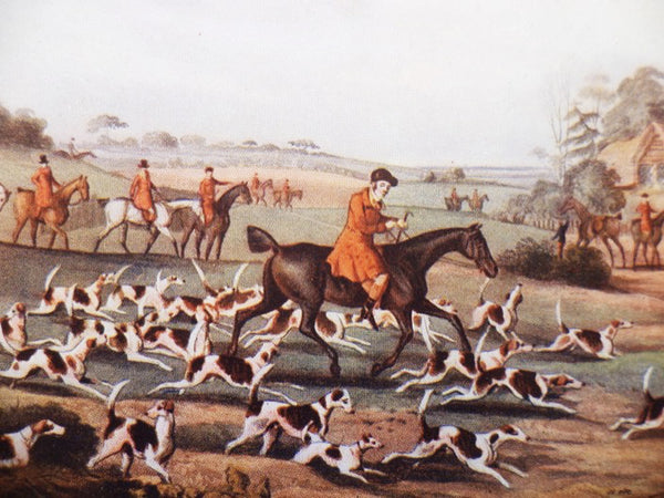 Observations on Fox-Hunting