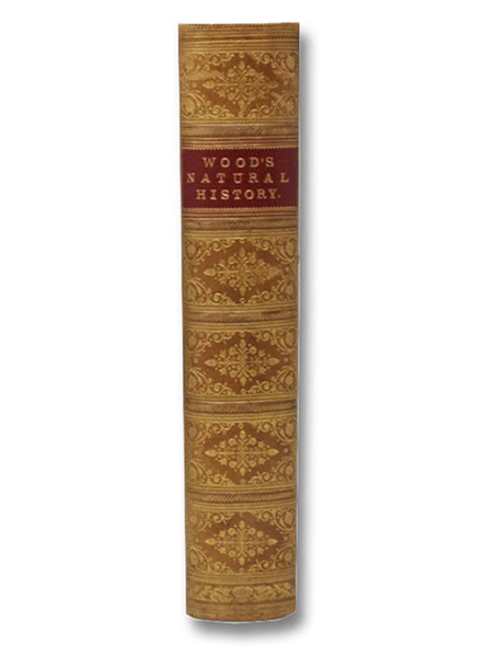 The New Illustrated Natural History