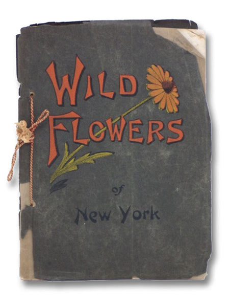 Wild Flowers of New York