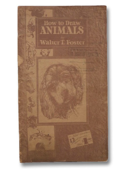 How to Draw Animals