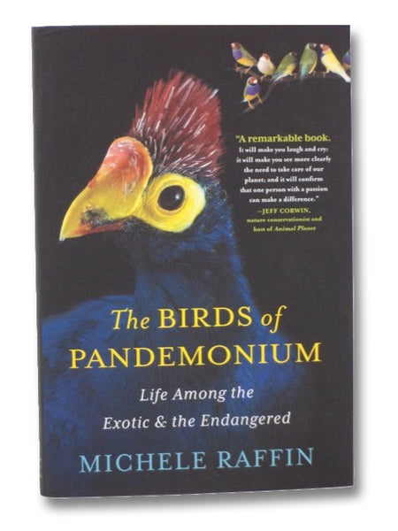The Birds of Pandemonium