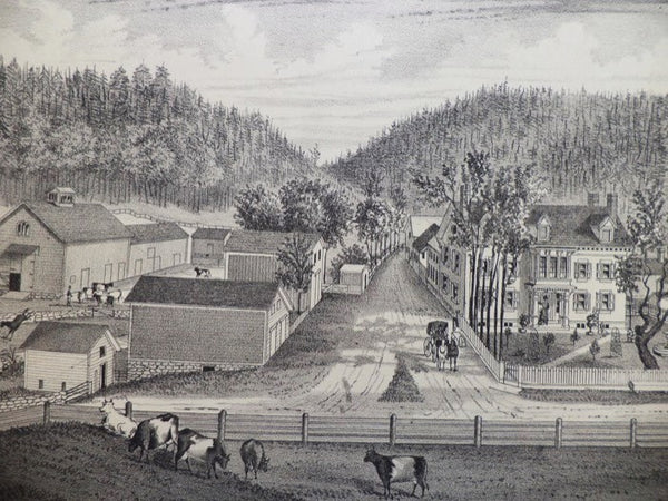 History of Montgomery and Fulton Counties, N.Y., with Illustrations Descriptive of Scenery, Private Residences, Public Buildings, Fine Blocks, and Important Manufactories, from Original Sketches by Artists of the Highest Ability; and Portraits of Old Pio…