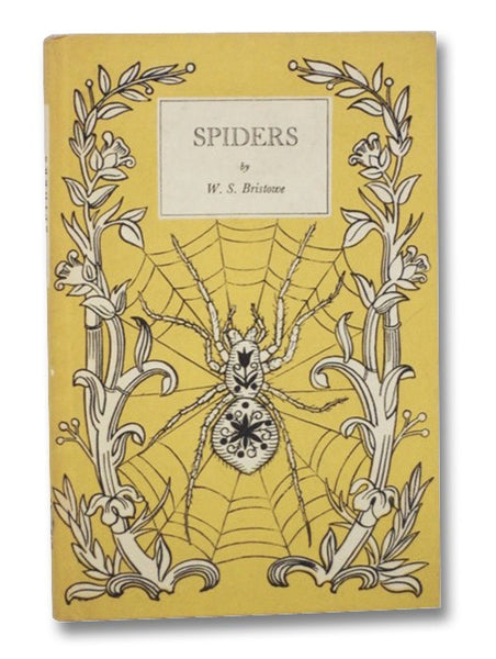 Spiders