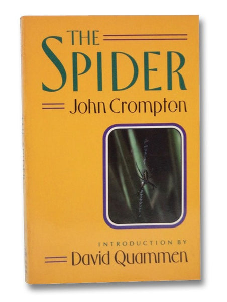 The Spider