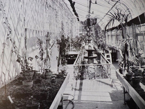 American Greenhouses [with] American Greenhouses: A Book of Conservatories, Show Houses, Palm Houses, Solariums