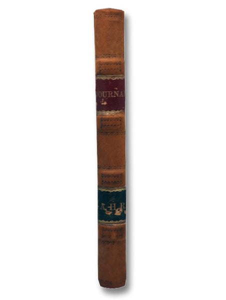 Nineteenth Century Ledger (Blank)