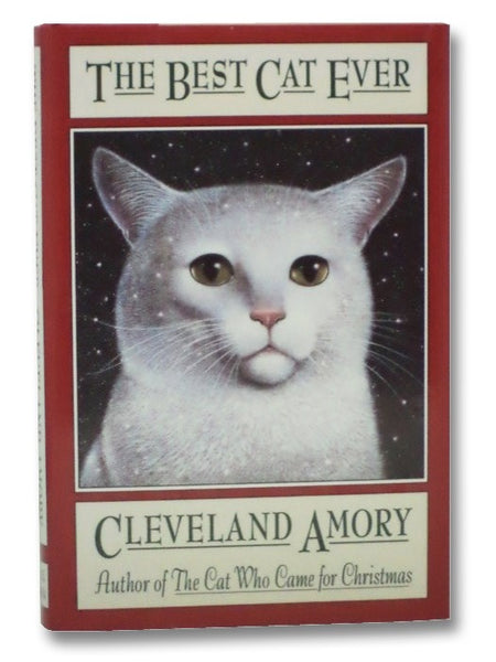 The Best Cat Ever