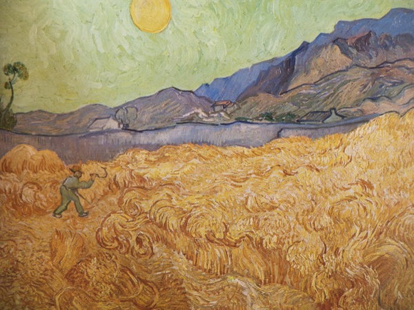 The Works of Vincent van Gogh: His Paintings and Drawings