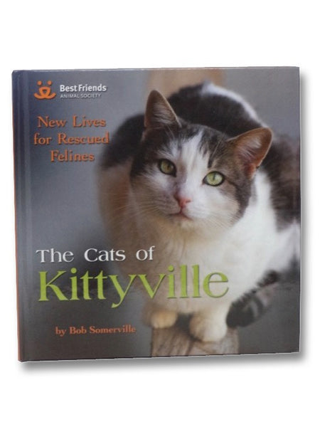 The Cats of Kittyville: New Lives for Rescued Felines
