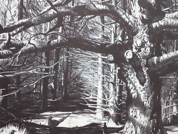 Stow Wengenroth's New England