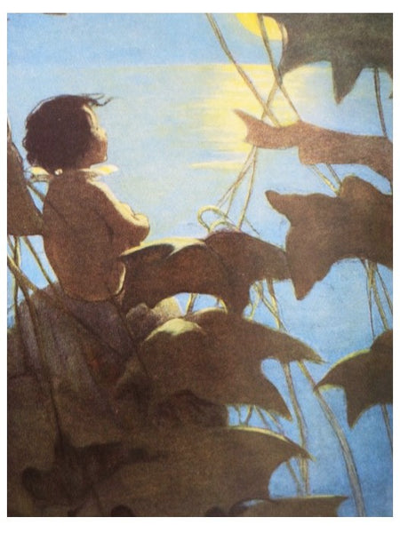 The Water Babies (The Collector's Library of Famous Editions)