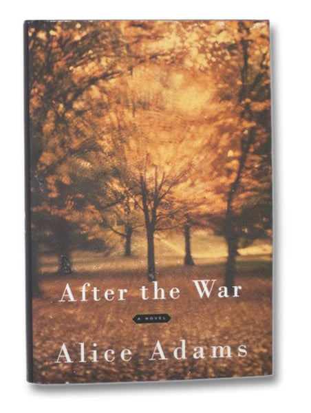 After the War: A Novel