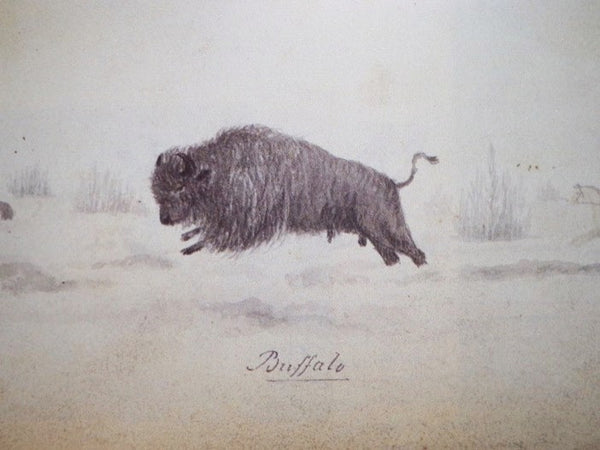 Arctic Artist: The Journals and Paintings of George Back, Midshipman with Franklin, 1819-1822
