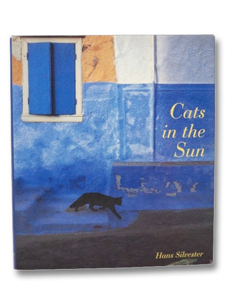 Cats in the Sun