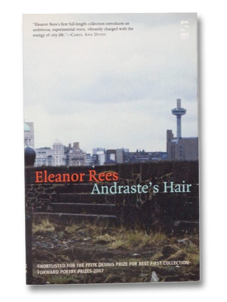 Andraste's Hair (Salt Modern Poets)