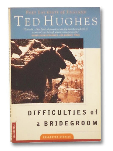 Difficulties of a Bridegroom: Collected Stories