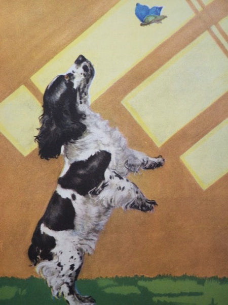 The Dog Book