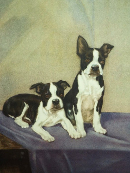 The Dog Book