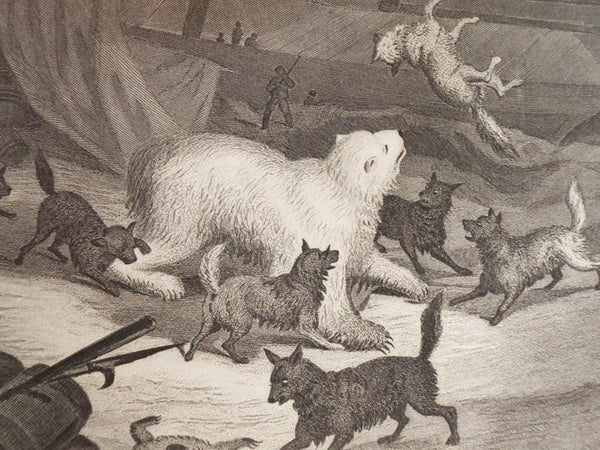 Arctic Explorations: The Second Grinnell Expedition in Search of Sir John Franklin, 1853, '54, '55. Illustrated with Upwards of Three Hundred Engravings, from Sketches by the Author. In Two Volumes.