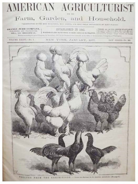 American Agriculturist, for the Farm, Garden and Household, January, 1877, Vol. XXXVI, Number I [Volume 36, No. 1]