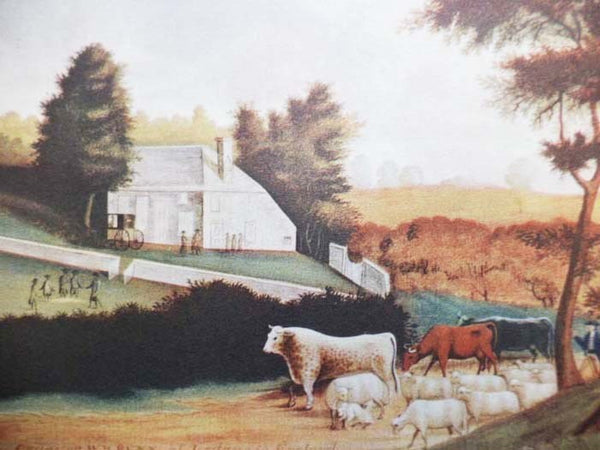 The Abby Aldrich Rockefeller Folk Art Collection